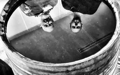 Peter Bowyer reflects on a visit from The Still Life Stories.